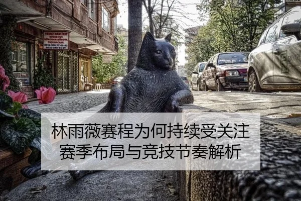 林雨薇赛程为何持续受关注 赛季布局与竞技节奏解析